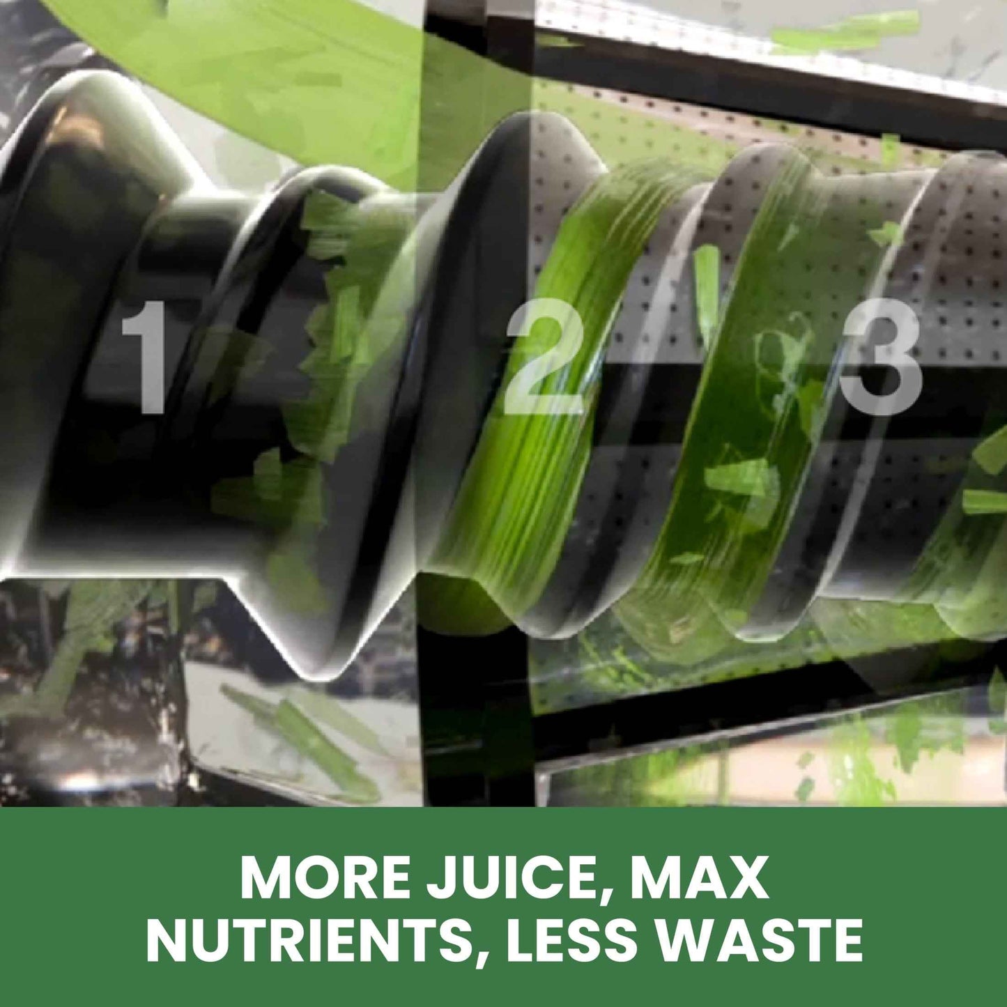 Omega All in One Nutrition System Cold Press Juicer, in Silver (J8006HDS)