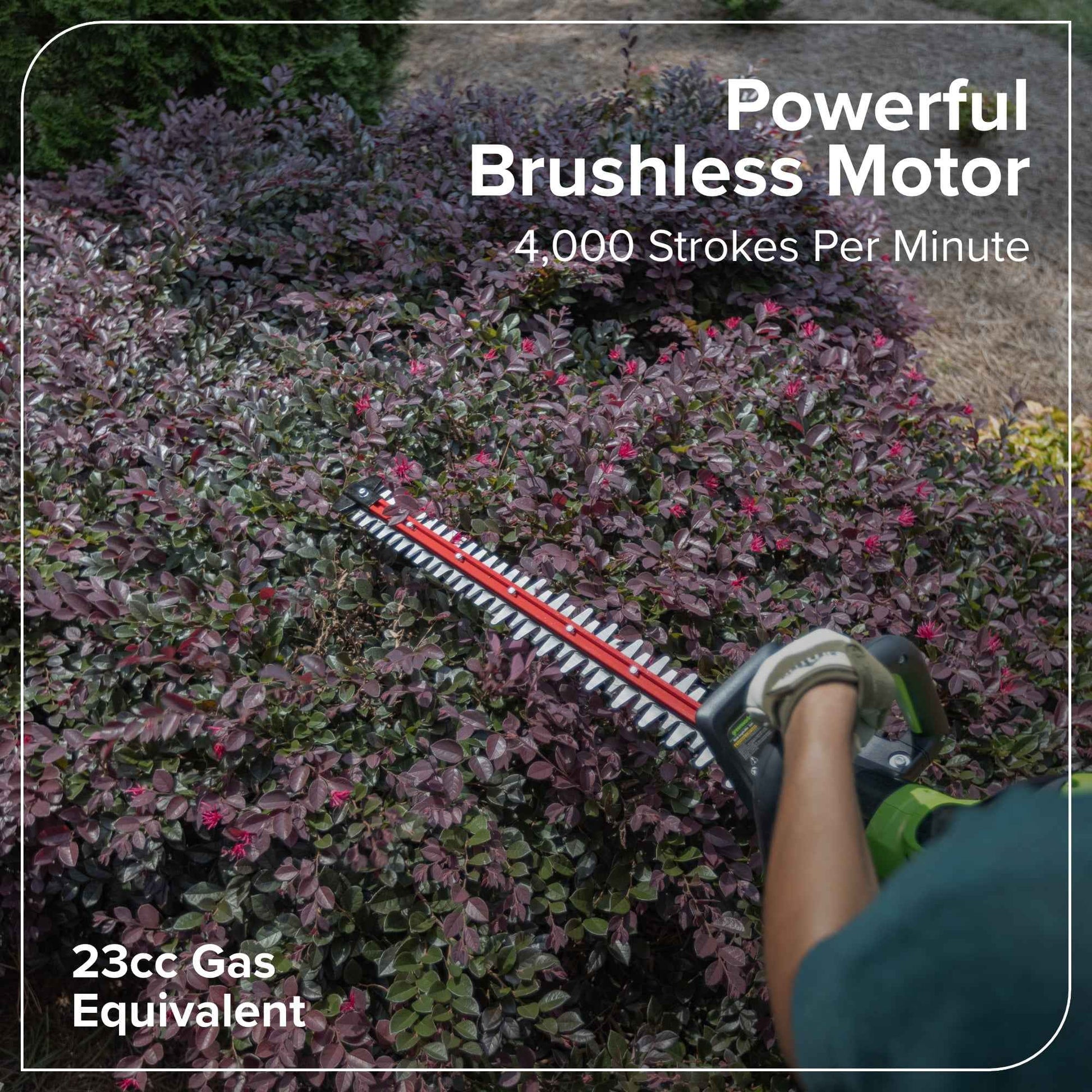 Greenworks 60V 26" Hedge Trimmer with 2.0 Ah Battery & 3 Amp Charger 2216602