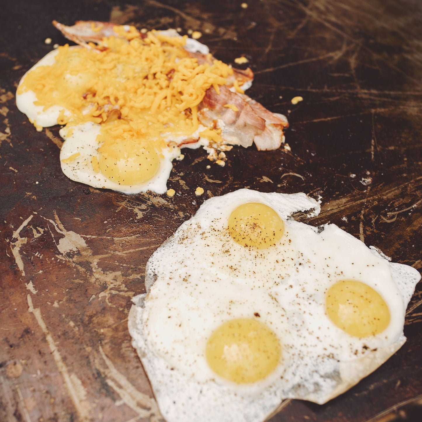 Razor 34.5" 3 Burner Portable Tabletop Griddle for Backyard Cooking and Camping - Home OXO