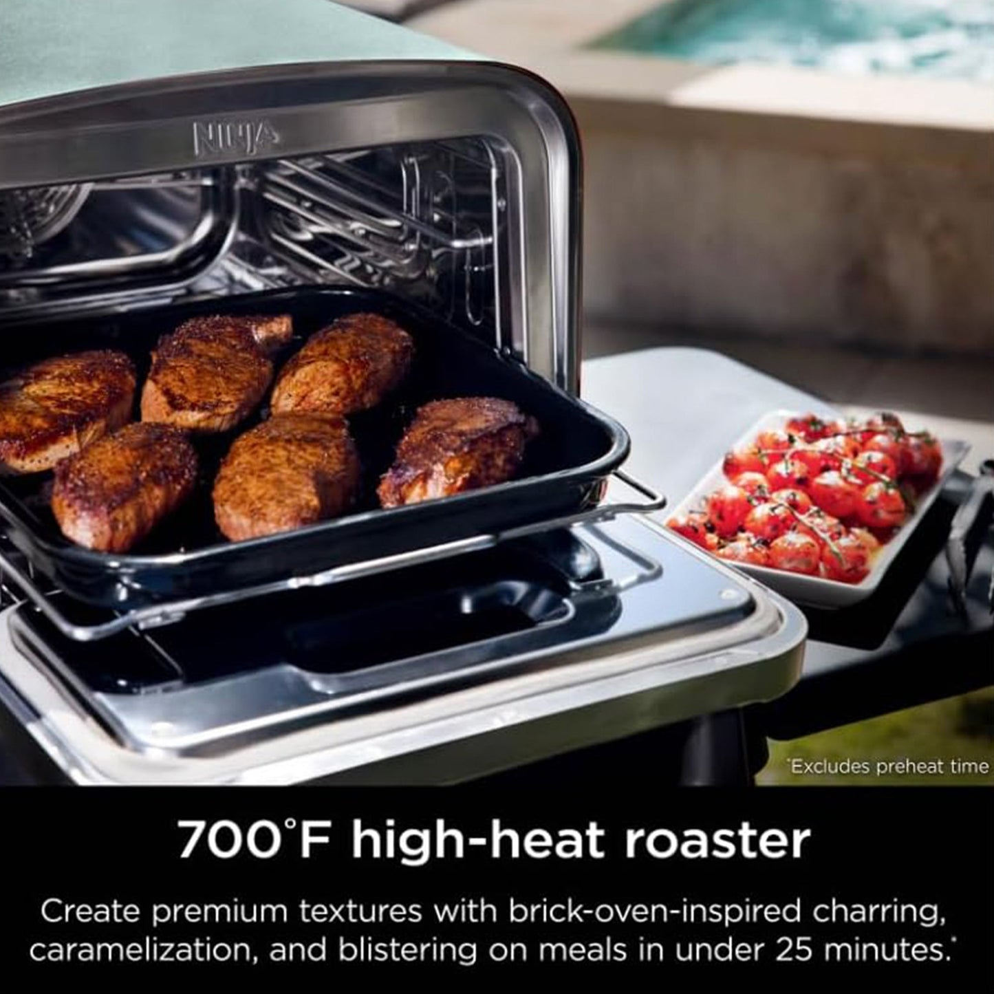 Ninja Woodfire 8-in-1 Outdoor Smoker Pizza Oven with 5 Pizza Settings, Green - Home OXO