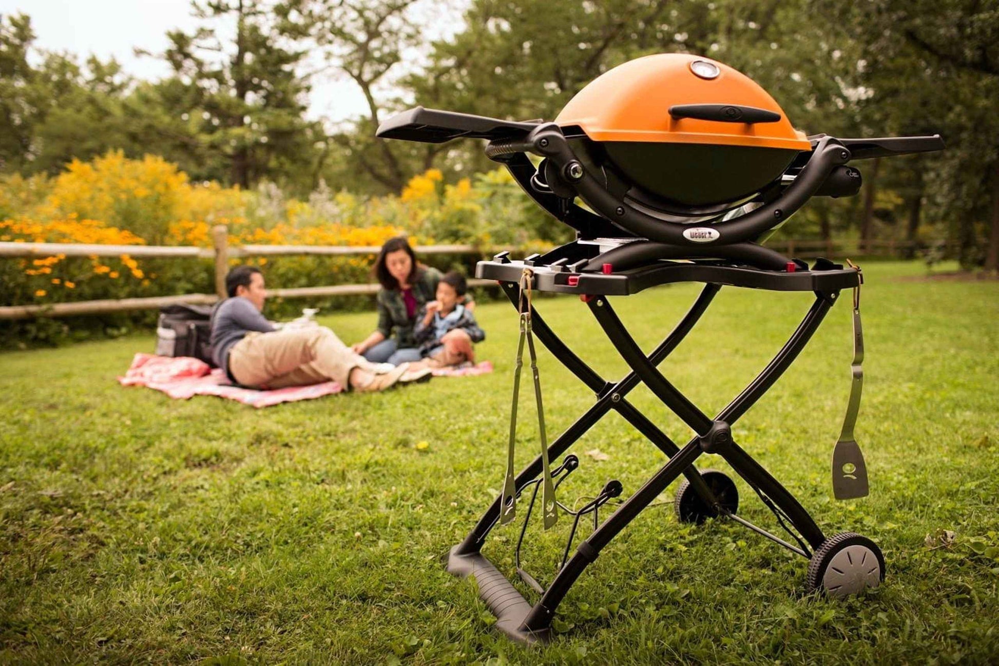 Weber Q 1200 Portable Single Burner Propane Gas Grill, Orange
