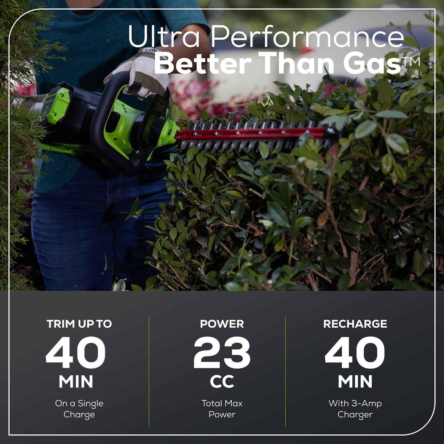 Greenworks 60V 26" Hedge Trimmer with 2.0 Ah Battery & 3 Amp Charger 2216602