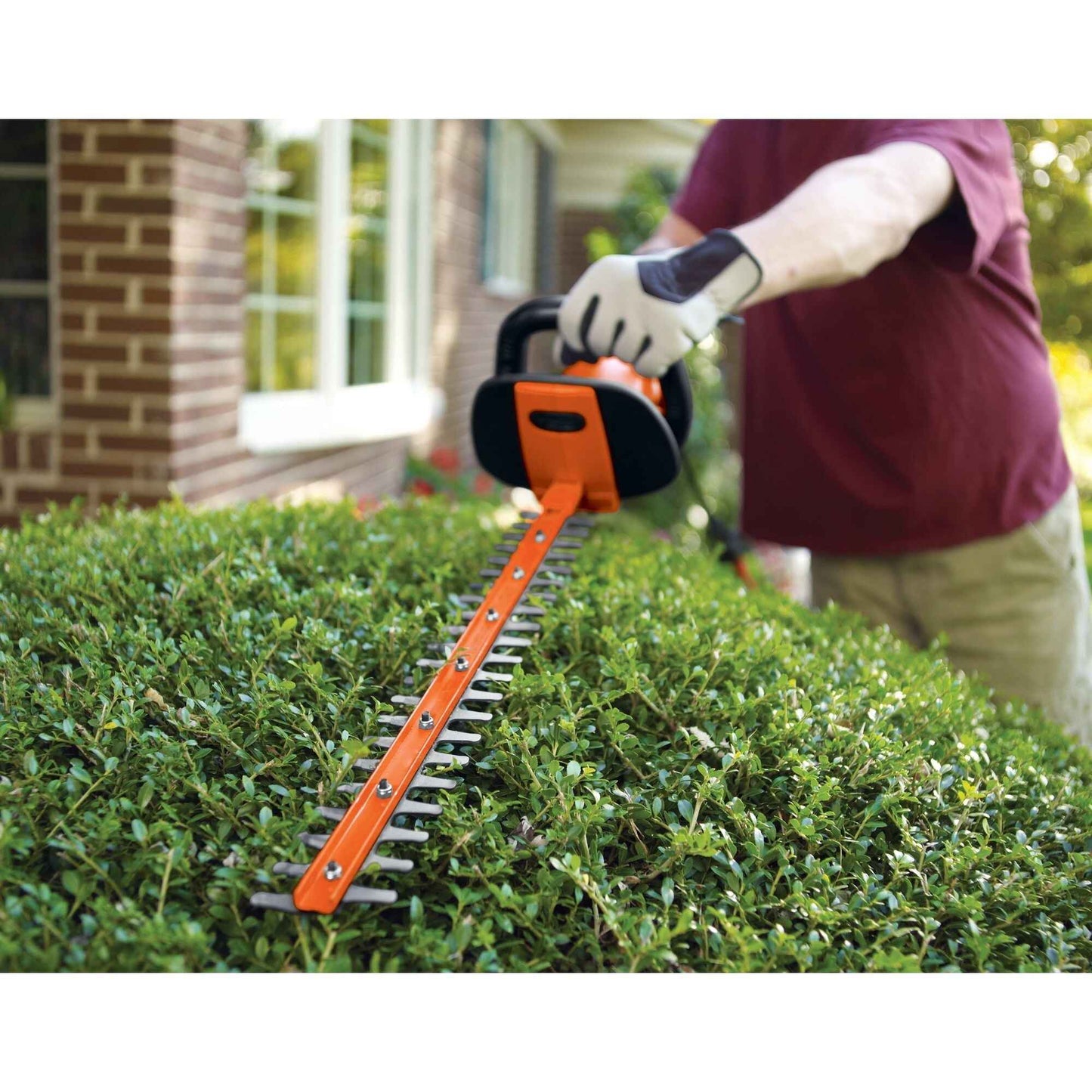 BLACK+DECKER HH2455 3.3 Amp HedgeHog 24" Hedge Trimmer with Rotating Handle
