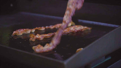 Blackstone 22in w/cover