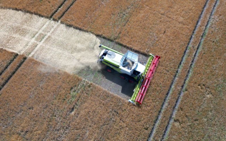 A farmer runs a combine at the start of the grain harvest season in Germany amid expectations of a 7% drop in yields.