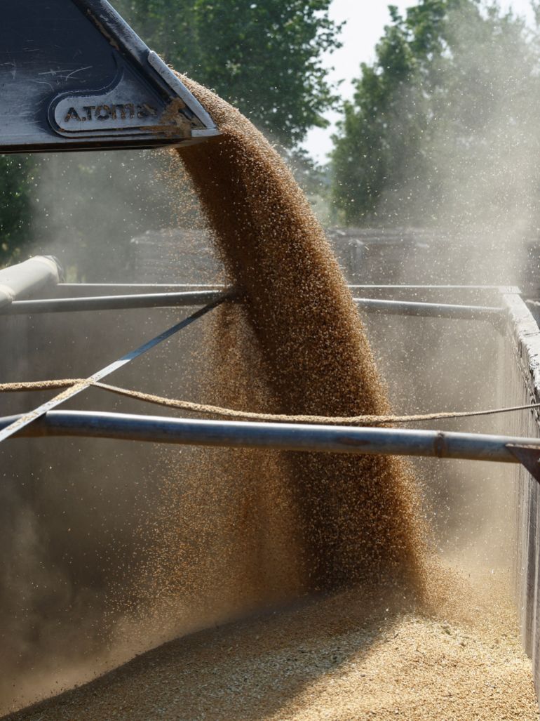 A wheel loader is used to load wheat grains from a warehouse onto a truck at a farm amid Russia's attack on Ukraine, in Zhytomyr region, Ukraine, August 7, 2026. REUTERS/Valentyn Ogirenko