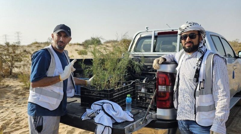 From Al-Ahsa to the world.. Green Environment Society validates the experience of reforestation with saline water - Economics