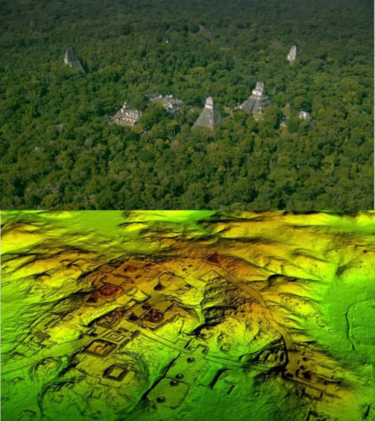 He googled… and found a city full of pyramids and playgrounds under the forest