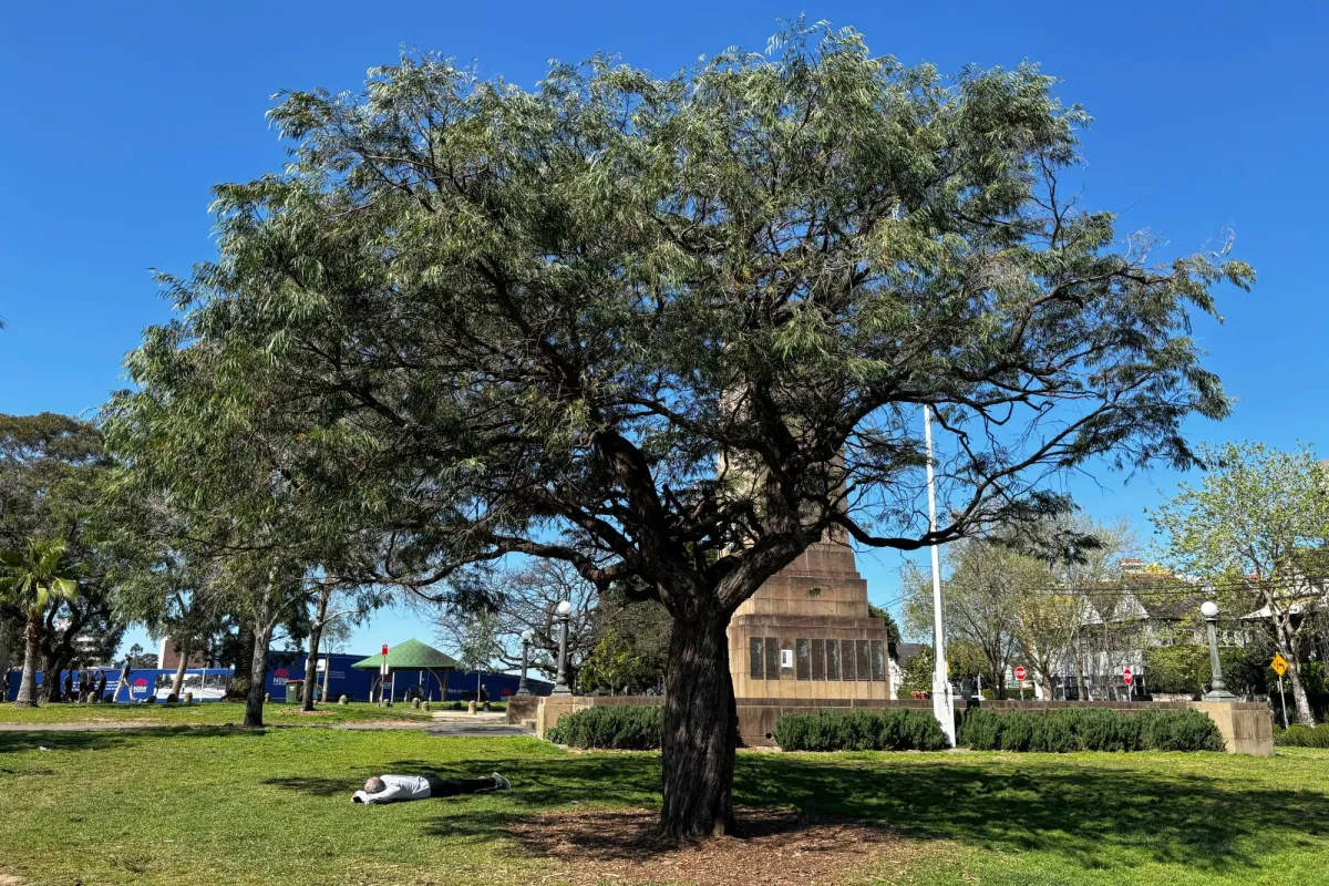 Sydney is witnessing a heatwave that is sparking fears of bushfires